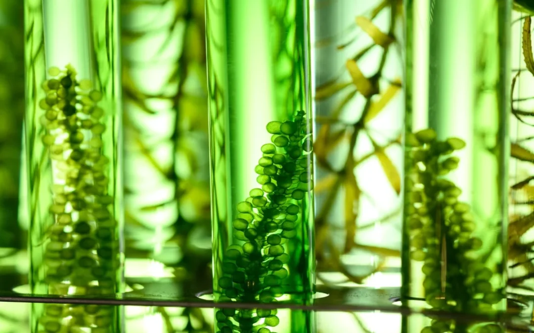 Les nouvelles technologies révolutionnent le contrôle qualité en laboratoire