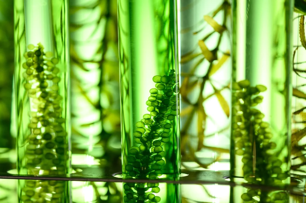 Nouvelles technologies contrôle qualité laboratoire